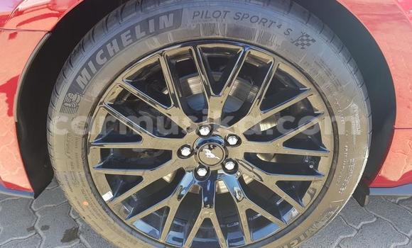 Acheter Occasion Voiture Ford Mustang Rouge à Beitbridge, Matabeleland South Acheter Occasion Voiture Ford Mustang Rouge à Beitbridge, Matabeleland South