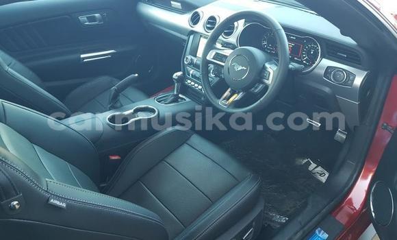 Acheter Occasion Voiture Ford Mustang Rouge à Beitbridge, Matabeleland South Acheter Occasion Voiture Ford Mustang Rouge à Beitbridge, Matabeleland South