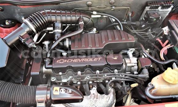 Acheter Occasion Voiture Chevrolet Van Rouge à Beitbridge, Matabeleland South Acheter Occasion Voiture Chevrolet Van Rouge à Beitbridge, Matabeleland South