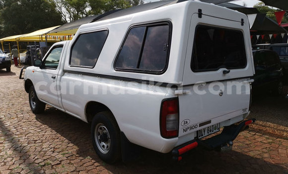 Tenga Tsaru Nissan NP 300 Chena Mota in Beitbridge in Matabeleland South Tenga Tsaru Nissan NP 300 Chena Mota in Beitbridge in Matabeleland South