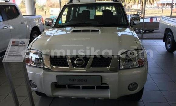 Tenga Tsaru Nissan Hardbody Chena Mota in Beitbridge in Matabeleland South Tenga Tsaru Nissan Hardbody Chena Mota in Beitbridge in Matabeleland South