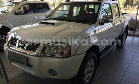 Tenga Tsaru Nissan Hardbody Chena Mota in Beitbridge in Matabeleland South Tenga Tsaru Nissan Hardbody Chena Mota in Beitbridge in Matabeleland South