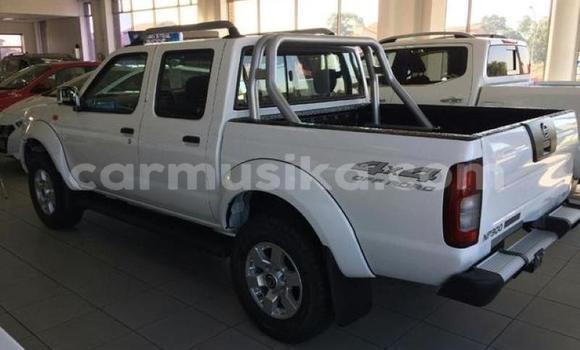 Tenga Tsaru Nissan Hardbody Chena Mota in Beitbridge in Matabeleland South Tenga Tsaru Nissan Hardbody Chena Mota in Beitbridge in Matabeleland South