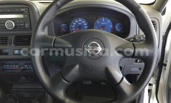 Tenga Tsaru Nissan Hardbody Chena Mota in Beitbridge in Matabeleland South Tenga Tsaru Nissan Hardbody Chena Mota in Beitbridge in Matabeleland South