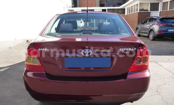 Tenga Tsaru Toyota Corolla Zvimwe Mota in Beitbridge in Matabeleland South Tenga Tsaru Toyota Corolla Zvimwe Mota in Beitbridge in Matabeleland South