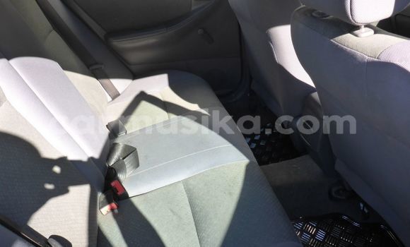 Tenga Tsaru Toyota Corolla Zvimwe Mota in Beitbridge in Matabeleland South Tenga Tsaru Toyota Corolla Zvimwe Mota in Beitbridge in Matabeleland South