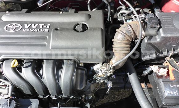 Tenga Tsaru Toyota Corolla Zvimwe Mota in Beitbridge in Matabeleland South Tenga Tsaru Toyota Corolla Zvimwe Mota in Beitbridge in Matabeleland South