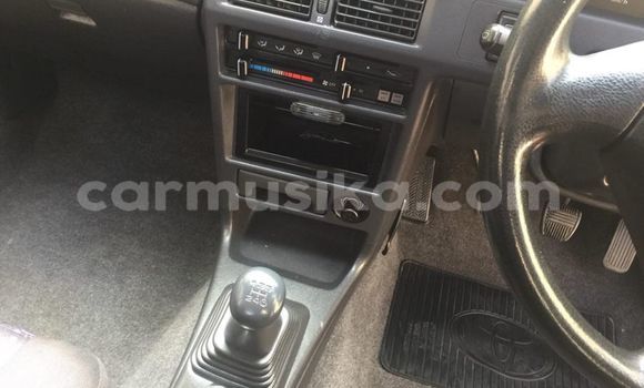 Acheter Occasion Voiture Toyota Corolla Gris à Beitbridge, Matabeleland South Acheter Occasion Voiture Toyota Corolla Gris à Beitbridge, Matabeleland South