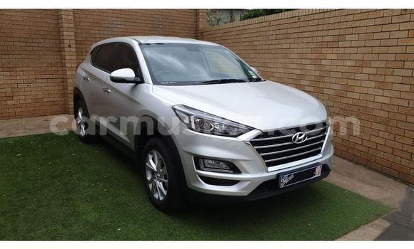 Acheter Occasion Voiture Hyundai Tucson Blanc à Beitbridge, Matabeleland South Acheter Occasion Voiture Hyundai Tucson Blanc à Beitbridge, Matabeleland South
