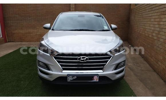Acheter Occasion Voiture Hyundai Tucson Blanc à Beitbridge, Matabeleland South Acheter Occasion Voiture Hyundai Tucson Blanc à Beitbridge, Matabeleland South