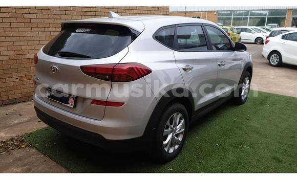 Acheter Occasion Voiture Hyundai Tucson Blanc à Beitbridge, Matabeleland South Acheter Occasion Voiture Hyundai Tucson Blanc à Beitbridge, Matabeleland South
