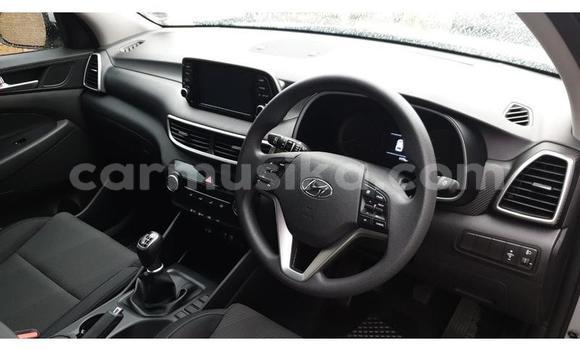 Acheter Occasion Voiture Hyundai Tucson Blanc à Beitbridge, Matabeleland South Acheter Occasion Voiture Hyundai Tucson Blanc à Beitbridge, Matabeleland South