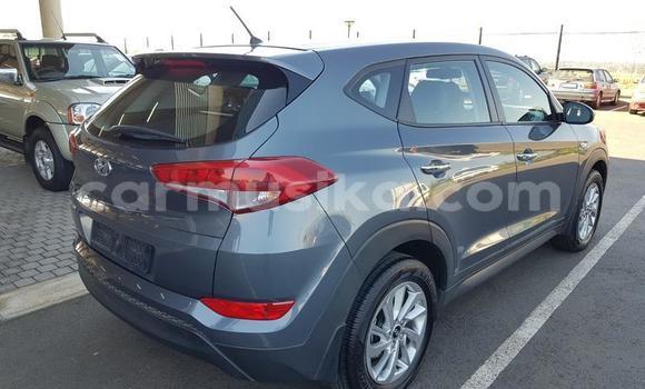 Nunua Ilio tumika Hyundai Tucson Fedha Gari ndani ya Beitbridge nchini Matabeleland Kusini Nunua Ilio tumika Hyundai Tucson Fedha Gari ndani ya Beitbridge nchini Matabeleland Kusini
