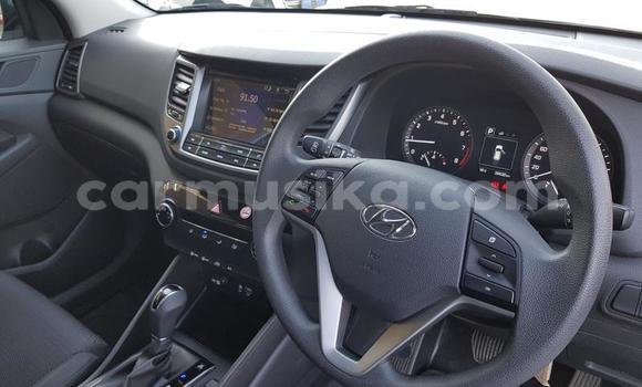 Nunua Ilio tumika Hyundai Tucson Fedha Gari ndani ya Beitbridge nchini Matabeleland Kusini Nunua Ilio tumika Hyundai Tucson Fedha Gari ndani ya Beitbridge nchini Matabeleland Kusini