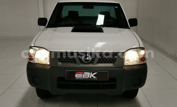 Tenga Tsaru Nissan Hardbody Chena Mota in Beitbridge in Matabeleland South Tenga Tsaru Nissan Hardbody Chena Mota in Beitbridge in Matabeleland South