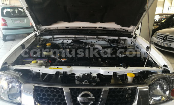 Buy Used Nissan Hardbody White Car in Beitbridge in Matabeleland South Buy Used Nissan Hardbody White Car in Beitbridge in Matabeleland South