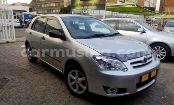 Buy Used Toyota Runx Silver Car in Bulawayo in Bulawayo Buy Used Toyota Runx Silver Car in Bulawayo in Bulawayo