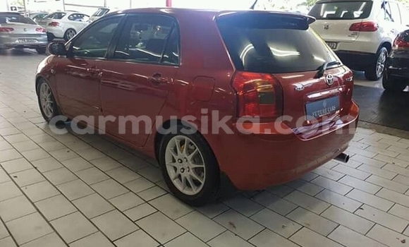 Nunua Ilio tumika Toyota Runx Nyingine Gari ndani ya Beitbridge nchini Matabeleland Kusini Nunua Ilio tumika Toyota Runx Nyingine Gari ndani ya Beitbridge nchini Matabeleland Kusini