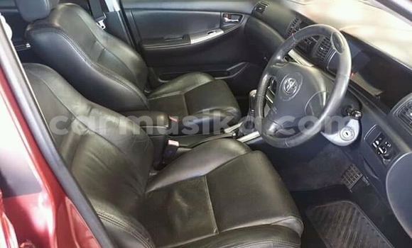 Nunua Ilio tumika Toyota Runx Nyingine Gari ndani ya Beitbridge nchini Matabeleland Kusini Nunua Ilio tumika Toyota Runx Nyingine Gari ndani ya Beitbridge nchini Matabeleland Kusini