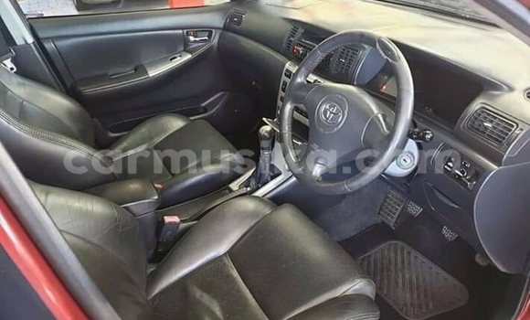 Nunua Ilio tumika Toyota Runx Nyingine Gari ndani ya Beitbridge nchini Matabeleland Kusini Nunua Ilio tumika Toyota Runx Nyingine Gari ndani ya Beitbridge nchini Matabeleland Kusini