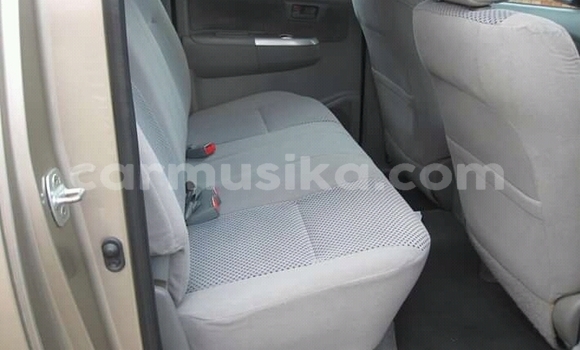 Buy Used Toyota Hilux Other Car in Beitbridge in Matabeleland South Buy Used Toyota Hilux Other Car in Beitbridge in Matabeleland South