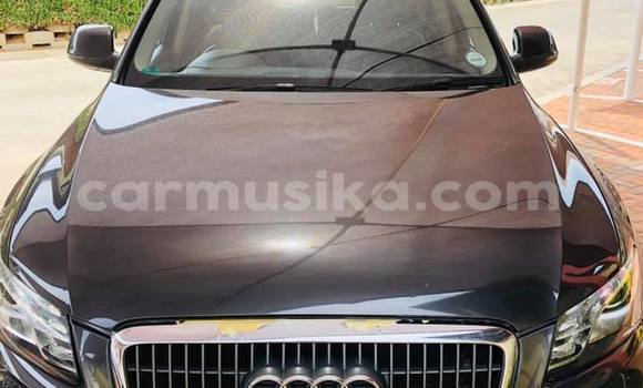 Buy Used Audi Q5 Black Car in Beitbridge in Matabeleland South Buy Used Audi Q5 Black Car in Beitbridge in Matabeleland South