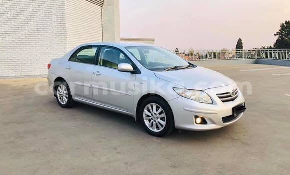 Tenga Tsaru Toyota Corolla Sirivha Mota in Beitbridge in Matabeleland South Tenga Tsaru Toyota Corolla Sirivha Mota in Beitbridge in Matabeleland South