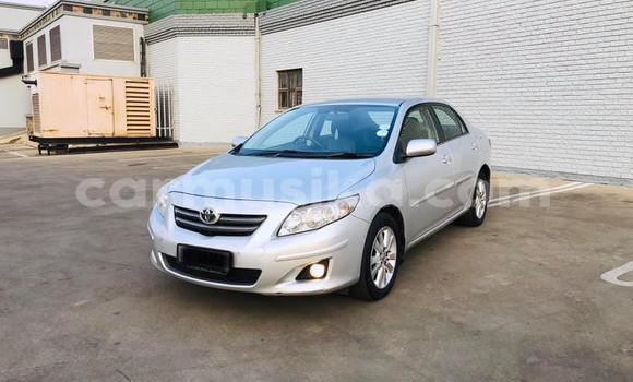 Tenga Tsaru Toyota Corolla Sirivha Mota in Beitbridge in Matabeleland South Tenga Tsaru Toyota Corolla Sirivha Mota in Beitbridge in Matabeleland South