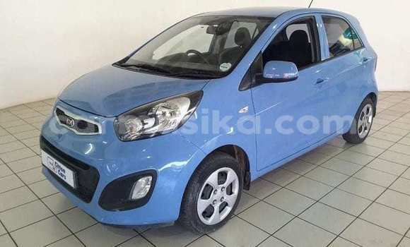 Buy Used Kia Picanto Blue Car in Beitbridge in Matabeleland South Buy Used Kia Picanto Blue Car in Beitbridge in Matabeleland South