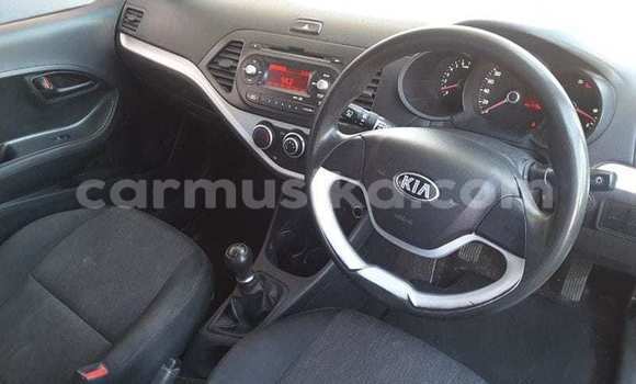 Buy Used Kia Picanto Blue Car in Beitbridge in Matabeleland South Buy Used Kia Picanto Blue Car in Beitbridge in Matabeleland South