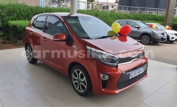 Acheter Occasion Voiture Kia Picanto Rouge à Beitbridge, Matabeleland South Acheter Occasion Voiture Kia Picanto Rouge à Beitbridge, Matabeleland South