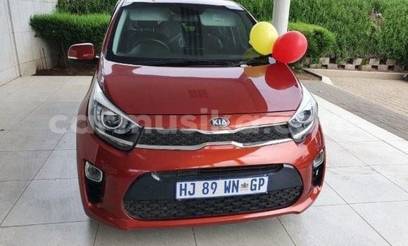 Acheter Occasion Voiture Kia Picanto Rouge à Beitbridge, Matabeleland South Acheter Occasion Voiture Kia Picanto Rouge à Beitbridge, Matabeleland South