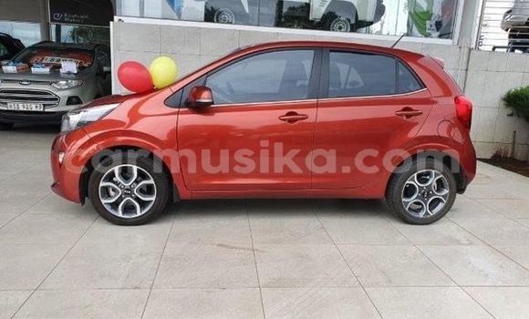 Acheter Occasion Voiture Kia Picanto Rouge à Beitbridge, Matabeleland South Acheter Occasion Voiture Kia Picanto Rouge à Beitbridge, Matabeleland South