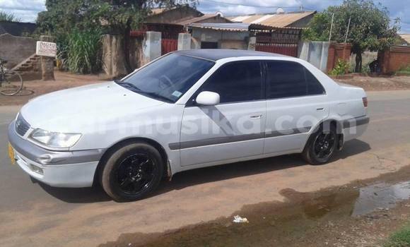 Acheter Occasion Voiture Toyota Premio Blanc à Harare, Harare Acheter Occasion Voiture Toyota Premio Blanc à Harare, Harare