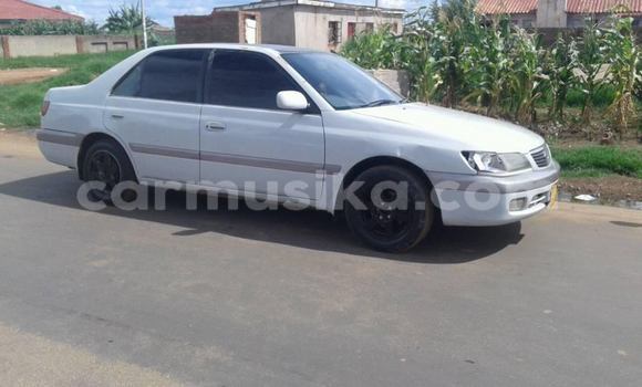 Acheter Occasion Voiture Toyota Premio Blanc à Harare, Harare Acheter Occasion Voiture Toyota Premio Blanc à Harare, Harare