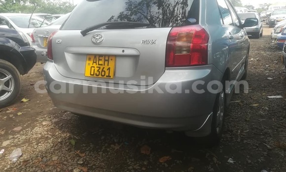 Acheter Occasion Voiture Toyota Runx Gris à Harare, Harare Acheter Occasion Voiture Toyota Runx Gris à Harare, Harare