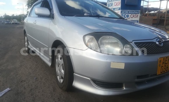 Acheter Occasion Voiture Toyota Runx Gris à Harare, Harare Acheter Occasion Voiture Toyota Runx Gris à Harare, Harare