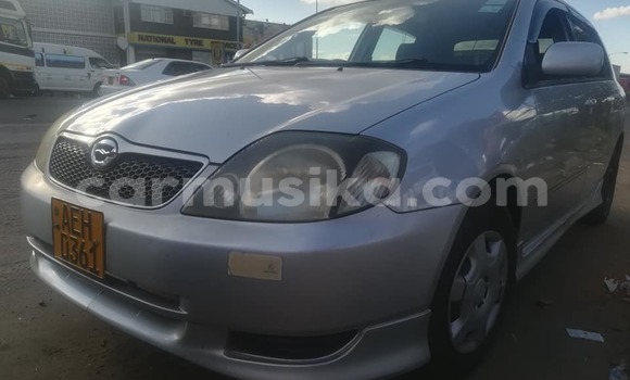 Acheter Occasion Voiture Toyota Runx Gris à Harare, Harare Acheter Occasion Voiture Toyota Runx Gris à Harare, Harare