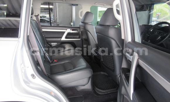 Buy Used Toyota Land Cruiser Prado Silver Car in Harare in Harare Buy Used Toyota Land Cruiser Prado Silver Car in Harare in Harare