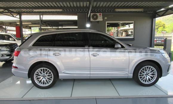 Buy Used Audi Q7 Silver Car in Belvedere in Harare Buy Used Audi Q7 Silver Car in Belvedere in Harare