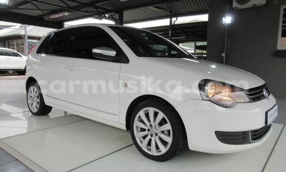 Buy Used Volkswagen Polo White Car in Belvedere in Harare Buy Used Volkswagen Polo White Car in Belvedere in Harare