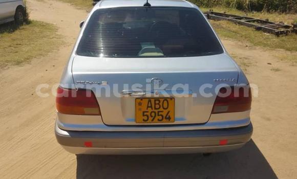 Tenga Tsaru Toyota Corolla Sirivha Mota in Harare in Harare Tenga Tsaru Toyota Corolla Sirivha Mota in Harare in Harare