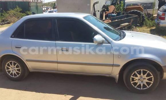 Tenga Tsaru Toyota Corolla Sirivha Mota in Harare in Harare Tenga Tsaru Toyota Corolla Sirivha Mota in Harare in Harare