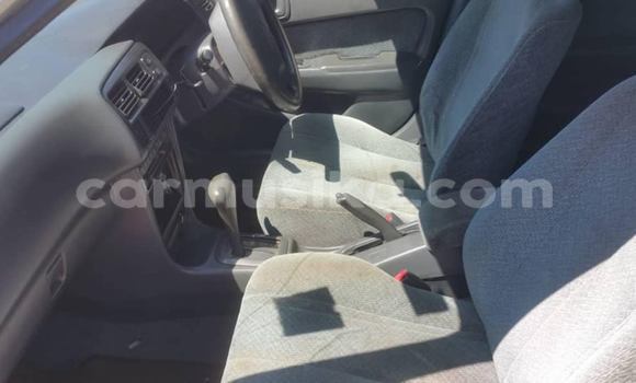 Tenga Tsaru Toyota Corolla Sirivha Mota in Harare in Harare Tenga Tsaru Toyota Corolla Sirivha Mota in Harare in Harare