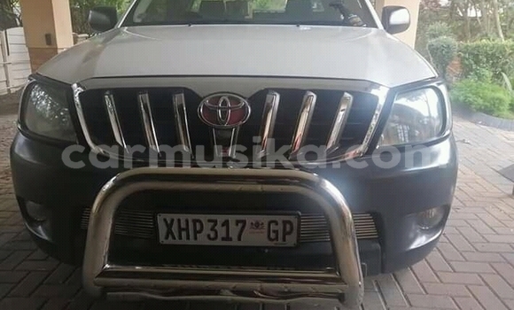 Buy Used Toyota Hilux White Car in Beitbridge in Matabeleland South Buy Used Toyota Hilux White Car in Beitbridge in Matabeleland South