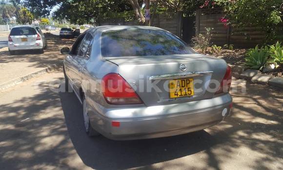 Tenga Tsaru Nissan Bluebird Sylphy Sirivha Mota in Harare in Harare Tenga Tsaru Nissan Bluebird Sylphy Sirivha Mota in Harare in Harare