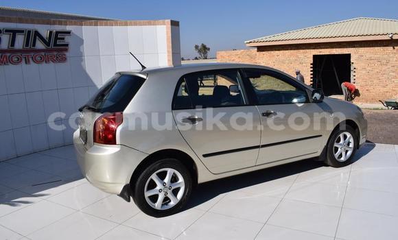 Acheter Occasion Voiture Toyota Runx Autre à Bulawayo, Bulawayo Acheter Occasion Voiture Toyota Runx Autre à Bulawayo, Bulawayo