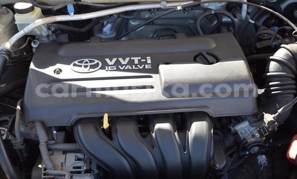 Acheter Occasion Voiture Toyota Runx Autre à Bulawayo, Bulawayo Acheter Occasion Voiture Toyota Runx Autre à Bulawayo, Bulawayo