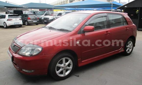 Tenga Tsaru Toyota Runx Tsvuku Mota in Bulawayo in Bulawayo Tenga Tsaru Toyota Runx Tsvuku Mota in Bulawayo in Bulawayo