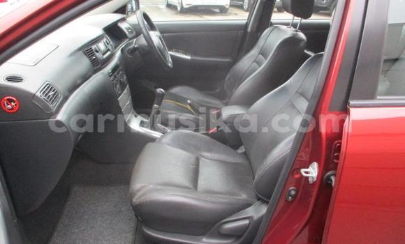 Tenga Tsaru Toyota Runx Tsvuku Mota in Bulawayo in Bulawayo Tenga Tsaru Toyota Runx Tsvuku Mota in Bulawayo in Bulawayo